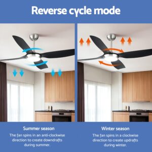 52 Inch Ceiling Fan