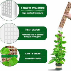 Plastic Moss Pole