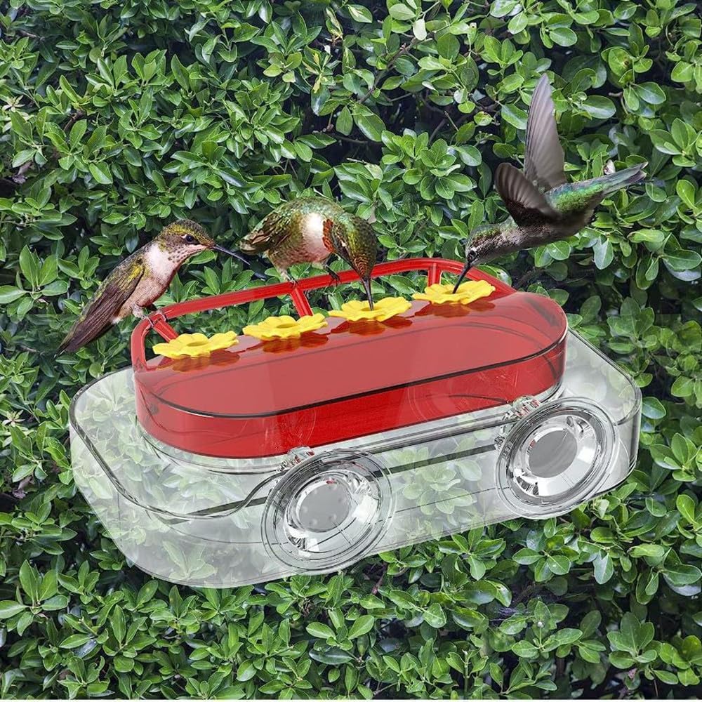 Clear Hummingbird Feeder | 4-Port Suction Cup Design – Great Shop Hummingbird Feeder