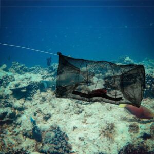 Fishing Bait Traps