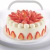Large 10 Inch Cake Carrier With Handles &Amp; Lid – Great Shop 10 Inch Cake Carrier