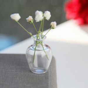 Cat Whisker Holder