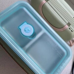Stainless Steel Double Compartment Snack Containers – Great Shop Stainless Steel Snack Containers