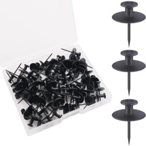 Picture Hanging Nails