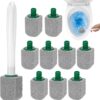 10 Pc Toilet Pumice Stone With Handle For Limescale – Great Shop Toilet Pumice Stone