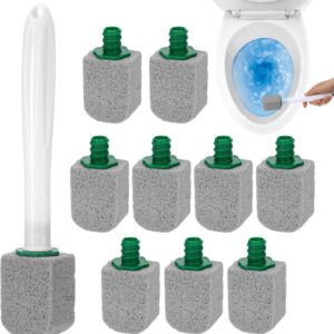 Toilet Pumice Stone