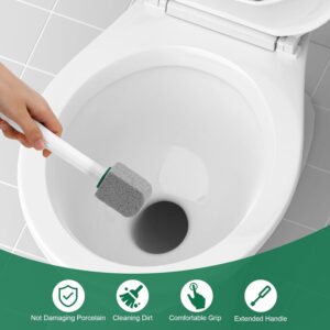 Toilet Pumice Stone
