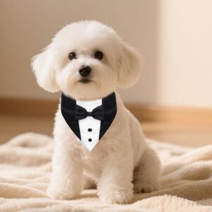 Dog Tuxedo Bandana Bow Tie For Weddings &Amp; Parties – Great Shop Dog Tuxedo Bandana