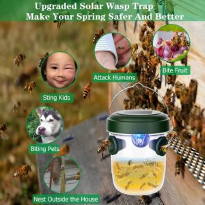 Solar Wasp Traps