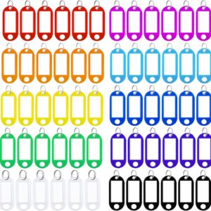 60 Pcs Key Tags with Labels, Tough Plastic Key Tags with Split Ring Label Window with Split Ring Assorted Colors for ID Tags, Pet Name Tags, Luggage Tags