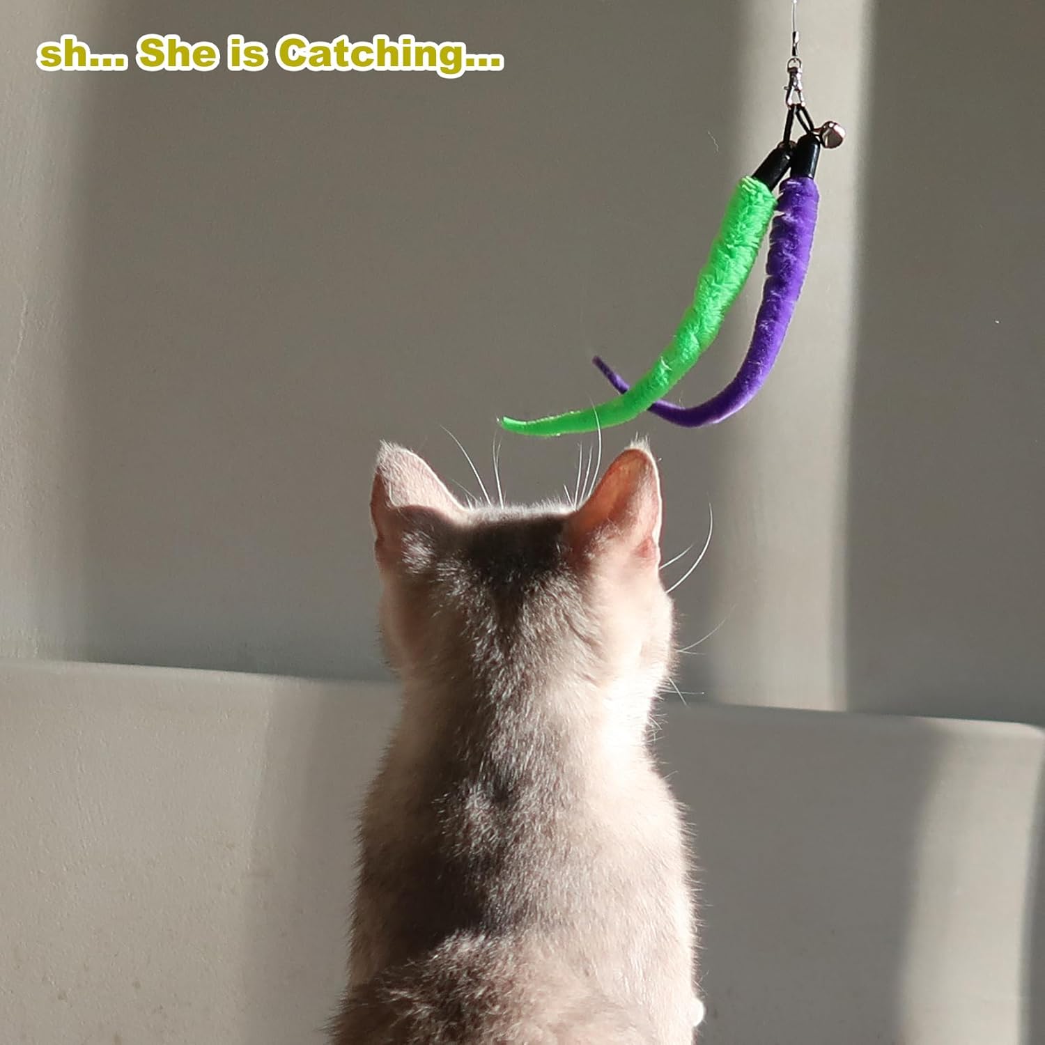 Huidcom Cat Feather Toy Retractable Interactive Wand Kit – Great Shop Huidcom Cat Feather Toy Retractable Interactive Wand Kit - Image 8