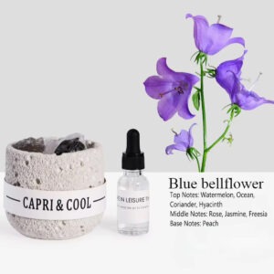 Crystal Stone Oil Diffuser Passive Aromatherapy Decor Product Image Great Shop
