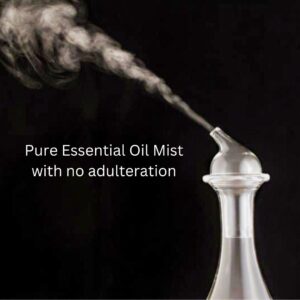 Detailed Shot Of The Hand Blown Glass Reservoir On The Oscar Waterless Diffuser