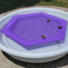 Bee Saver Waterer